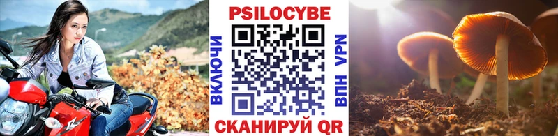 продажа наркотиков Арсеньев Галлюциногенные грибы ЛСД